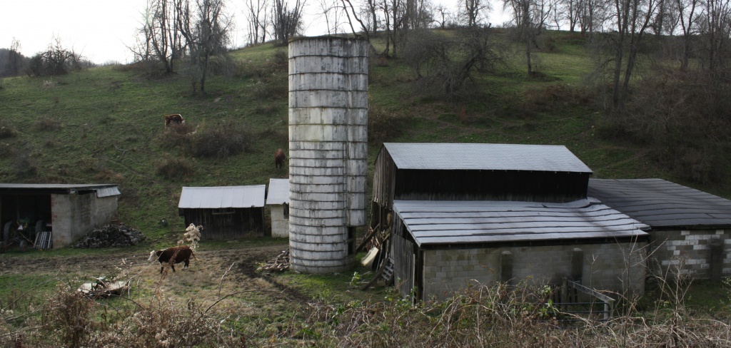 Silo and barn by mittens
