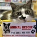 Animal Rescue's PR Agency by eleanor
