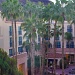 tempe mission palms by bcurrie