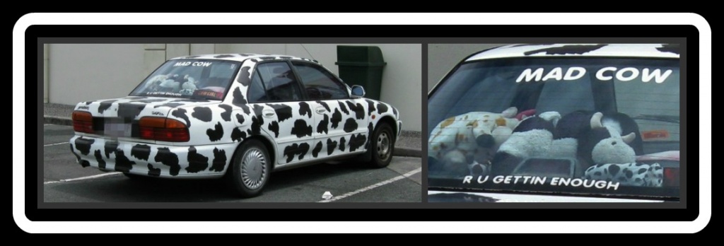 The Mad Cow Car! by mozette
