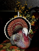 23rd Nov 2011 - Happy Thanksgiving