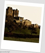 22nd Nov 2011 - Capture the Castle