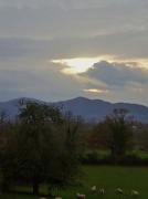 23rd Nov 2011 - Malvern hills.