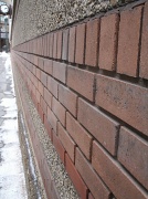 23rd Nov 2011 - Bricks on a wall