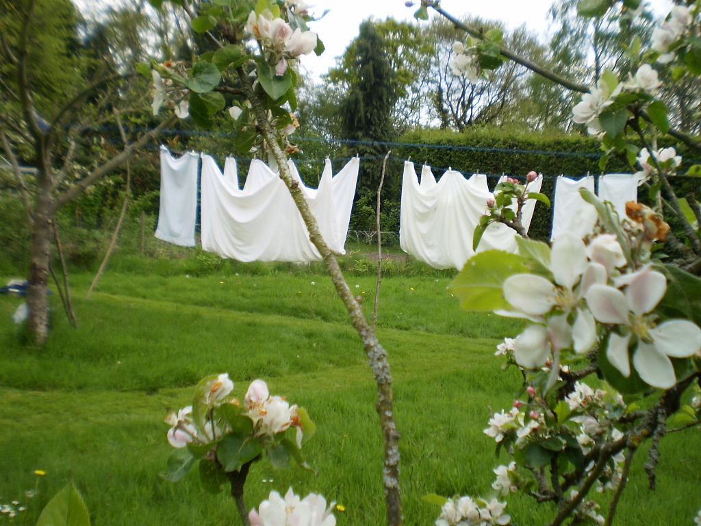 Line of washing. by snowy