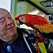 The Real Macaw aka Rupert by rich57