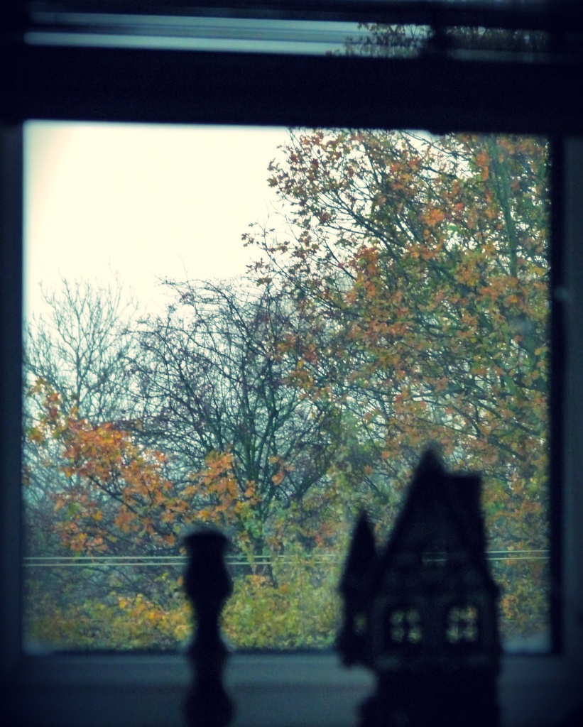 Autumn window by sabresun