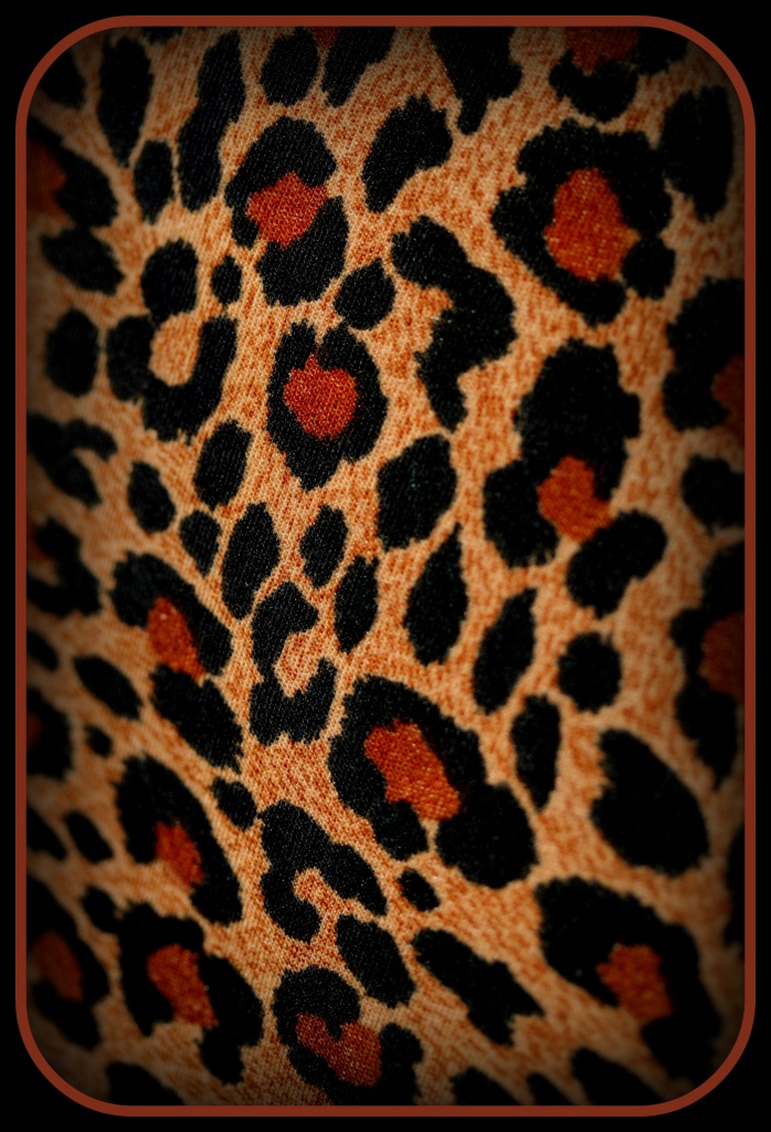 Season Of The Leopard by digitalrn