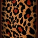 Season Of The Leopard by digitalrn