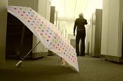 22nd Nov 2011 - Drying in the Hallway