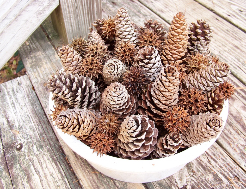 Bowl of Pine Cones and Sweetgum Balls by marlboromaam