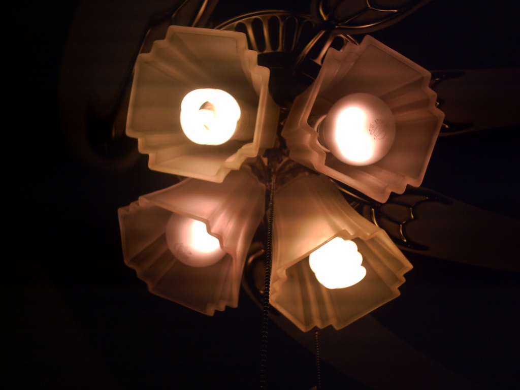 Fan Lightbulbs 11.23.11 by sfeldphotos