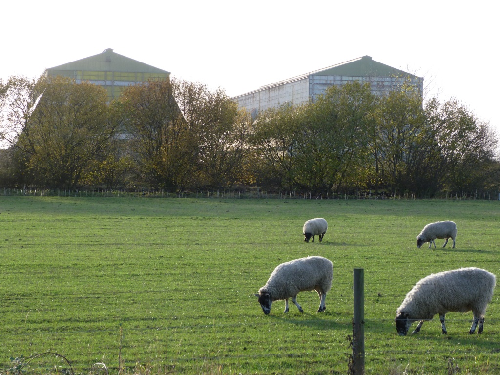 Cardington Airship Hangers with sheep for company by rosiekind