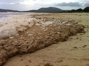 26th Nov 2011 - Wind, sand & foam