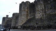 26th Nov 2011 - CAERNARFON CASTLE  - Castle Walls 