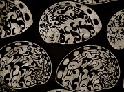 26th Nov 2011 - Paua Patterns