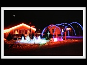 26th Nov 2011 - Christmas lights 
