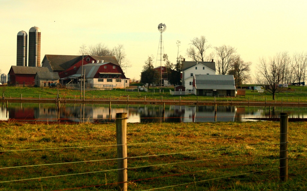 Country Wetlands by digitalrn