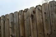 27th Nov 2011 - Patterned fence