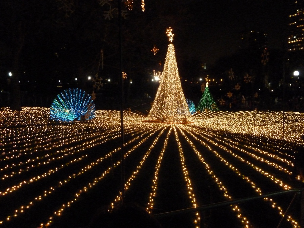 Lincoln Park Zoo Lights by grozanc