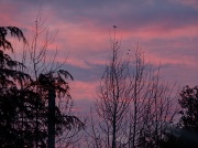 25th Nov 2011 - Sunset