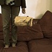 Woman on Sofa with Parcel by andycoleborn
