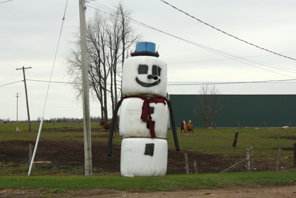 Giant snowman by rrt