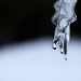 Dripping Icicles by kiwichick
