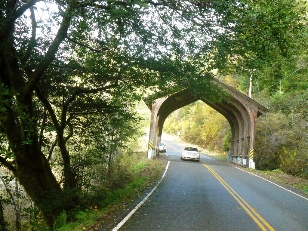 Bridge to Redwoods by pandorasecho