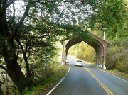 27th Nov 2011 - Bridge to Redwoods