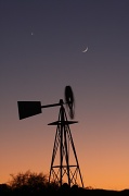 26th Nov 2011 - Texas Moon and Venus