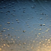 27th Nov 2011 - Rain