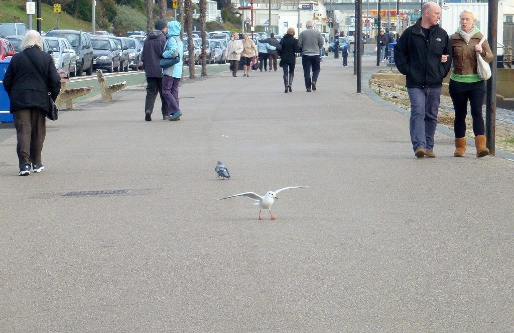 ..... "Oh, I do like to stroll along the prom, prom, prom...... by dulciknit