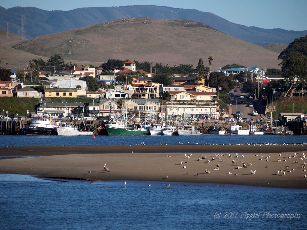 Morro Bay by flygirl