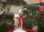 28th Nov 2011 - Frosty?!
