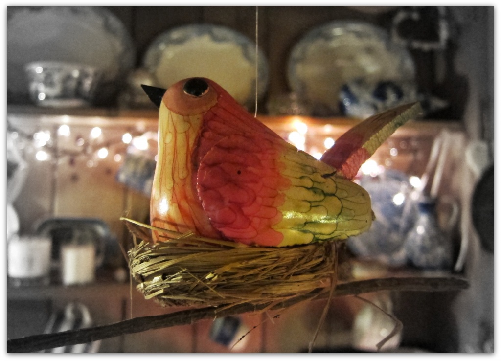 Bird on a Nest. by happypat