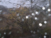 29th Nov 2011 - A rainy day.