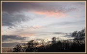 28th Nov 2011 - Pink skies over the allotment