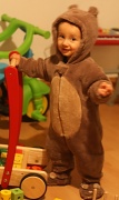26th Nov 2011 - Little bear