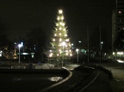 27th Nov 2011 - Christmas tree IMG_1086