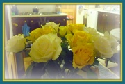 30th Nov 2011 - roses in the kitchen