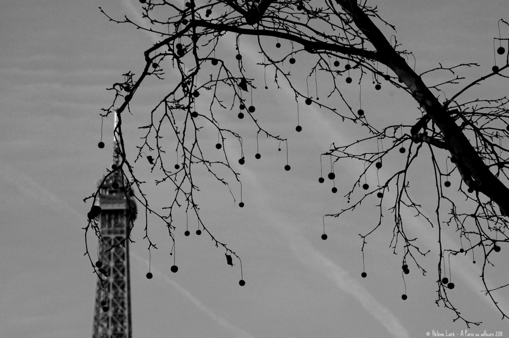 Hide & seek Eiffel Tower #13 by parisouailleurs