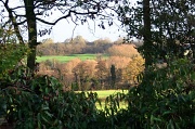 30th Nov 2011 - Fields and hedgerows