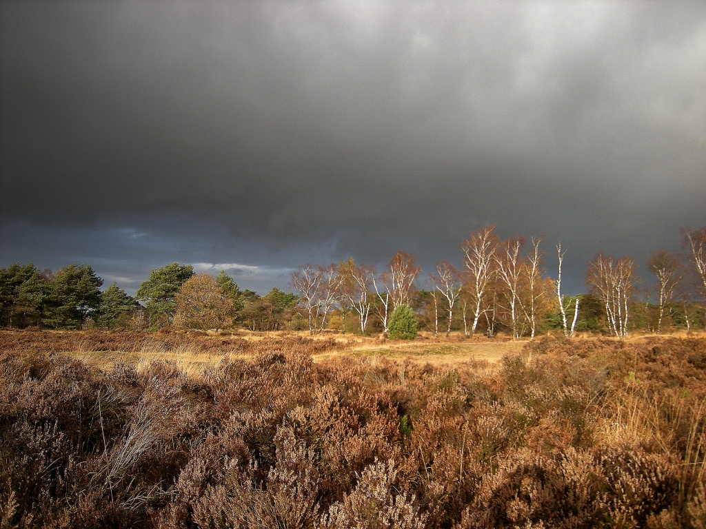 Dark clouds over the moorland by pyrrhula
