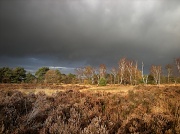 30th Nov 2011 - Dark clouds over the moorland