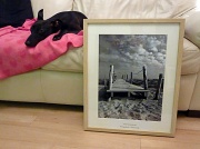 28th Nov 2011 - I Picture Framed one of my Images with the help of my little assistant !