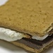 S’more of My Favorite Activities by lisabell