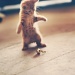 I hope you like kittens! by pocketmouse