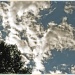 sky meet tree by grecican