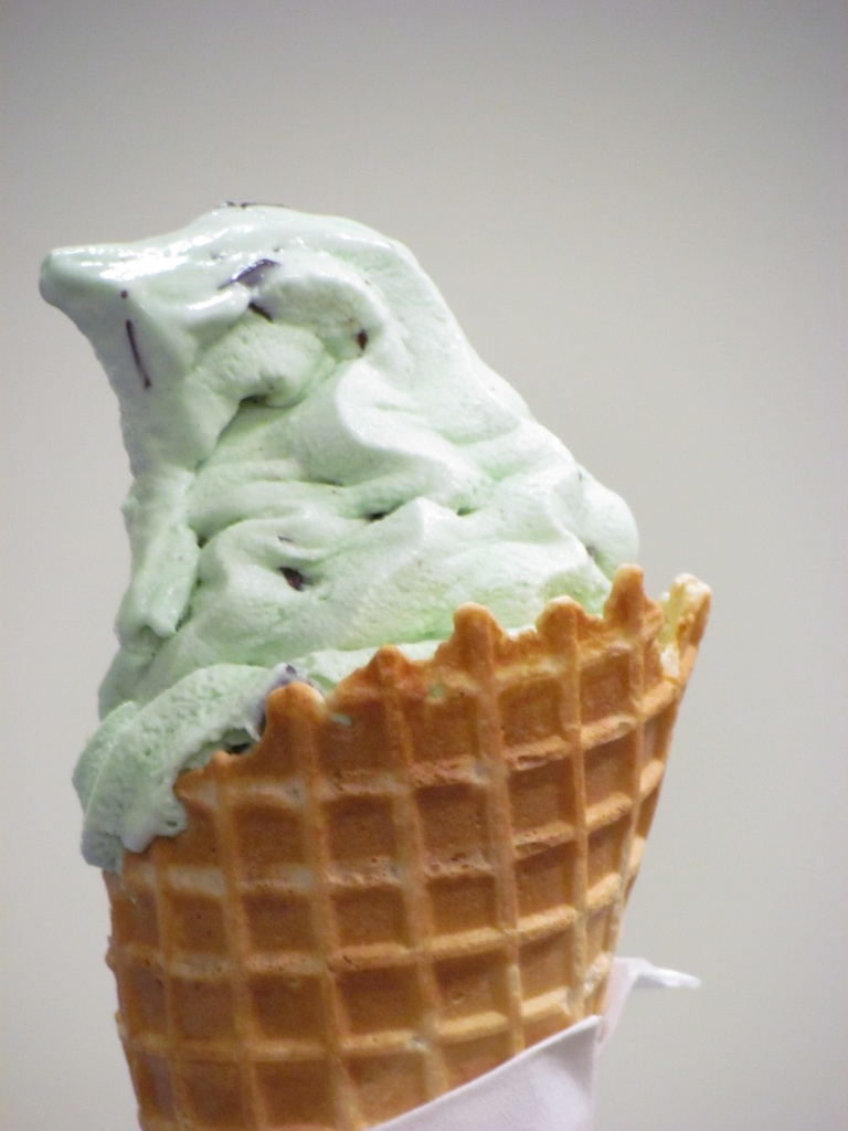 Mint Chocolate Chip by juletee